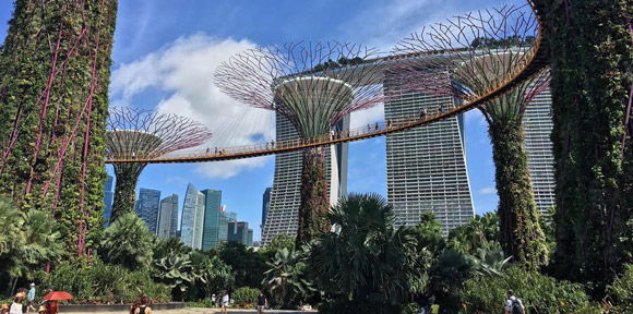gardens by the bay travel guide